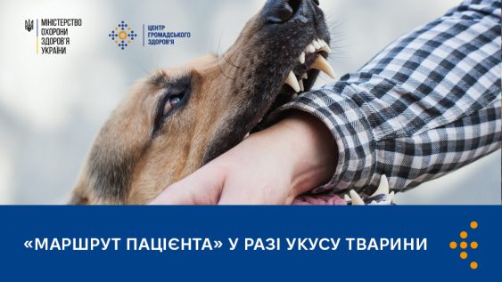 Додаткові антирабічні вакцини для регіонів: перші 26 000 доз уже в Україні