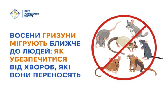 Восени гризуни мігрують ближче до людей: як убезпечитися від хвороб, які вони переносять 