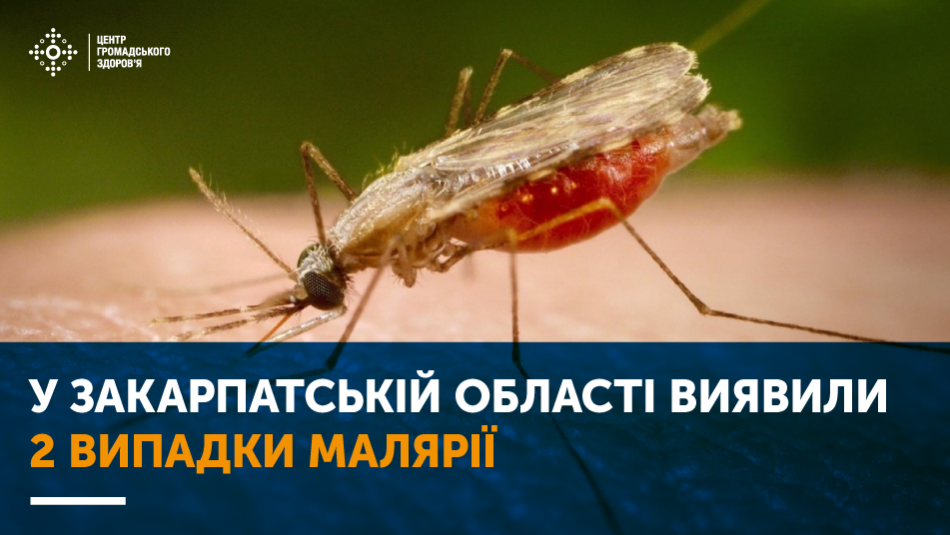 У Закарпатській області виявили 2 випадки малярії