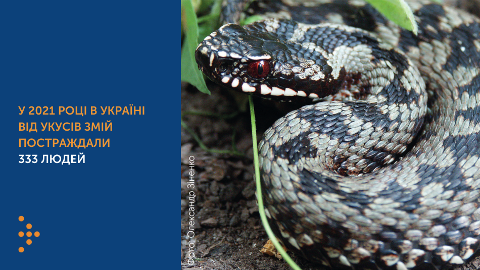 У 2021 році в Україні від укусів змій постраждали 333 людей