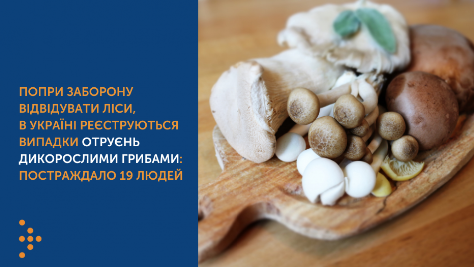 Попри заборону відвідувати ліси, в Україні реєструються випадки отруєнь дикорослими грибами: постраждало 19 людей