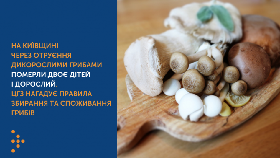 На Київщині через отруєння дикорослими грибами померли двоє дітей і дорослий. ЦГЗ нагадує правила збирання та споживання грибів