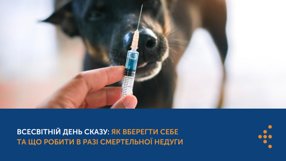 Всесвітній день сказу: як вберегти себе та що робити в разі смертельної недуги