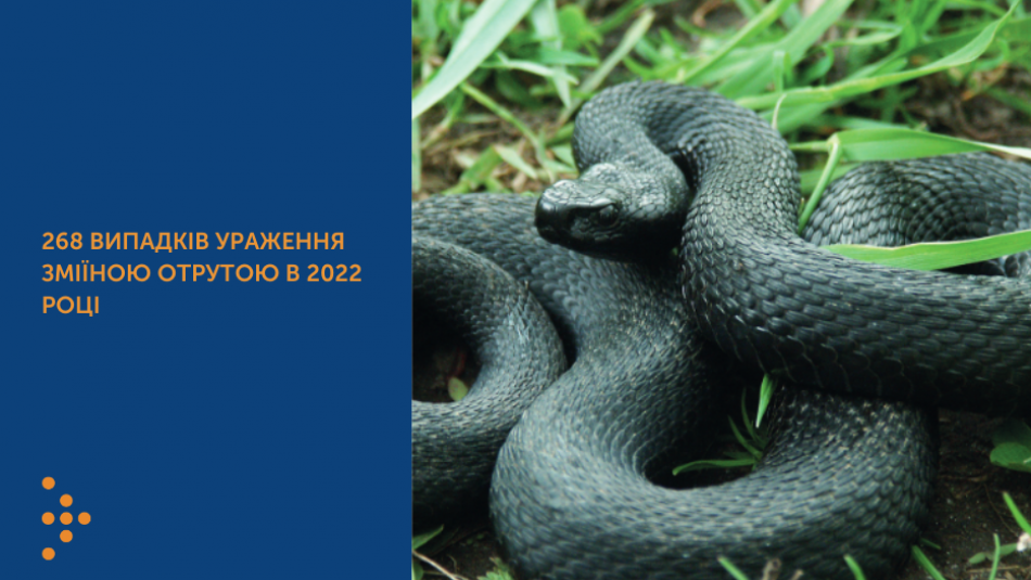 За 2022 рік в Україні зареєстровано 268 випадків ураження зміїною отрутою