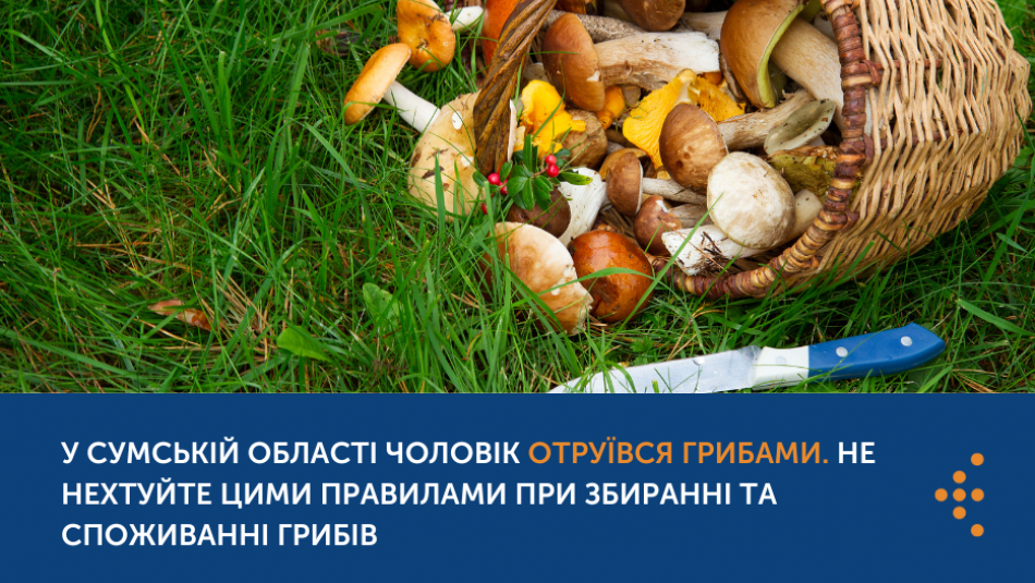 У Сумській області чоловік отруївся грибами. Не нехтуйте цими правилами при збиранні та споживанні грибів