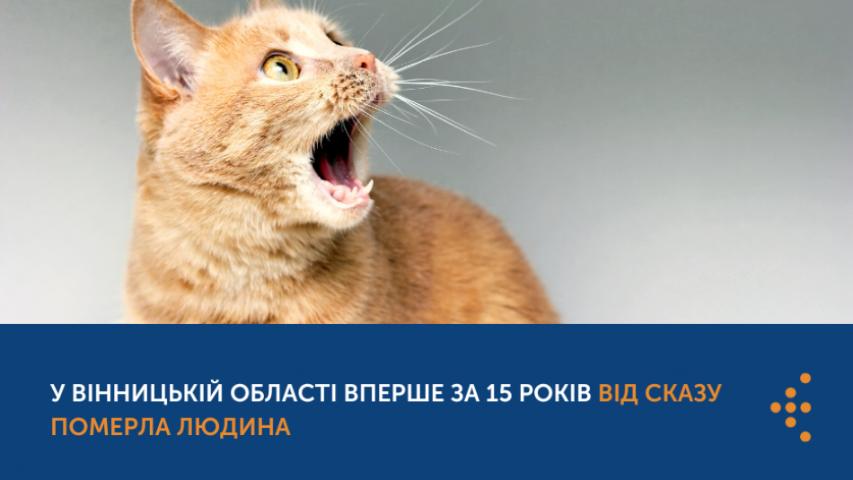 У Вінницькій області вперше за 15 років від сказу померла людина