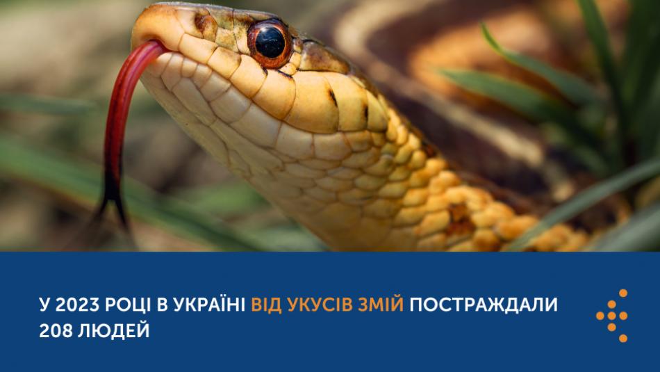 У 2023 році в Україні від укусів змій постраждали 208 людей