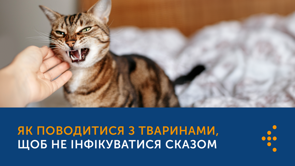 Як поводитися з тваринами, щоб не інфікуватися сказом