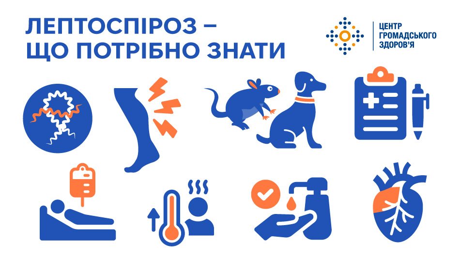 Лептоспіроз: що потрібно знати