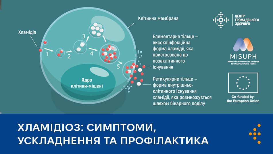 Хламідіоз: симптоми, ускладнення та профілактика