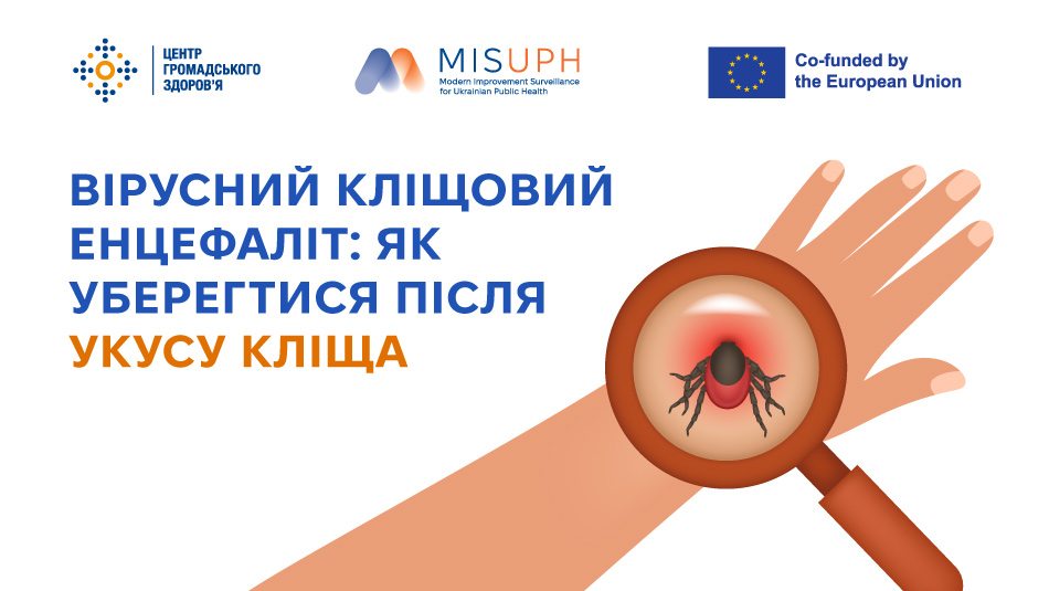 Вірусний кліщовий енцефаліт: як уберегтися після укусу кліща 