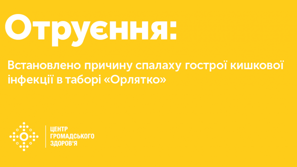 Встановлено причину спалаху гострої кишкової інфекції у дитячому таборі «Орлятко» Донецької області